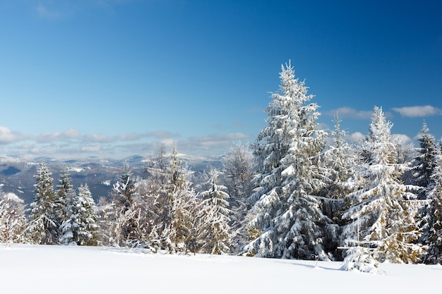 Fantastic winter landscape Blue sky Carpathian Ukraine Europe Beauty world