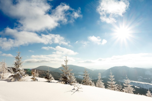 Fantastic winter landscape Blue sky Carpathian Ukraine Europe Beauty world