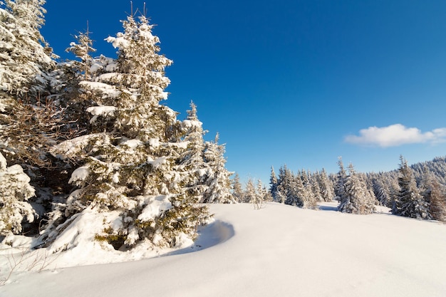 Fantastic winter landscape Blue sky Carpathian Ukraine Europe Beauty world