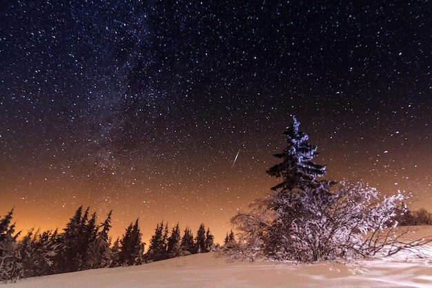 Fantastic winter landscape Carpathian Ukraine Europe Beauty world