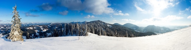 환상적인 겨울 풍경 Carpathian Ukraine 유럽 아름다움의 세계