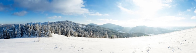 Fantastic winter landscape Carpathian Ukraine Europe Beauty world