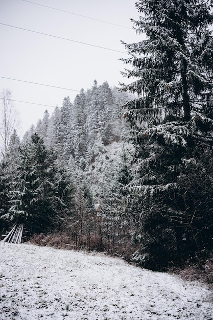 Fantastic winter landscape. Dramatic overcast sky. Creative collage. Beauty world.