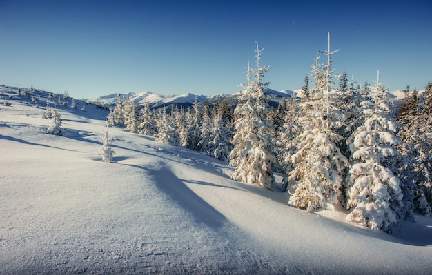 Fantastic winter landscape in the mountains of Ukraine. In antic