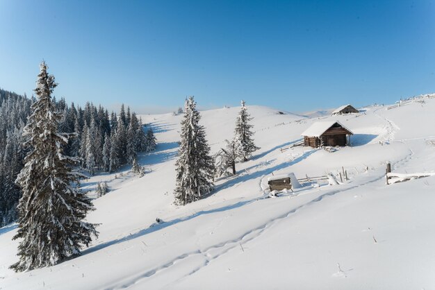 雪山にある木造住宅のある素晴らしい冬の風景。クリスマスの休日のコンセプト。カルパティア山脈、ウクライナ、ヨーロッパ