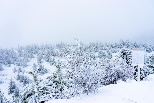 Fantastisch hooglandlandschap in de winter Bozdag Izmir Turkije