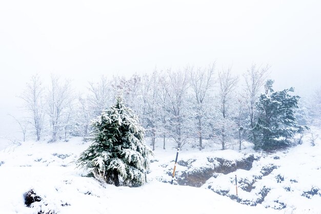 Fantastisch hooglandlandschap in de winter Bozdag Izmir Turkije