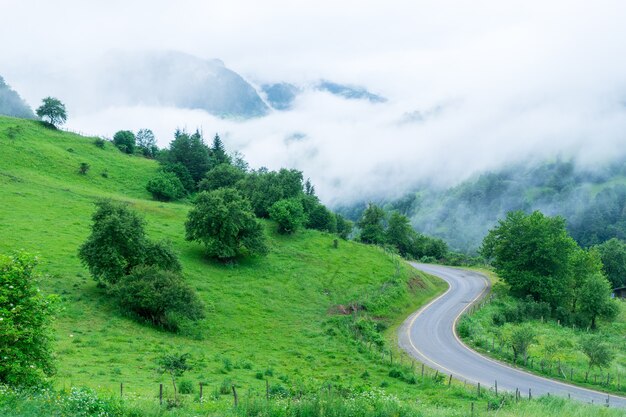 Fantastisch landschap van bergbos in wolken, mist of nevel. Giresun Highland's - Turkije