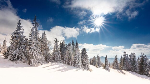 Fantastisch winterlandschap Blauwe lucht Karpaten Oekraïne Europa Schoonheidswereld