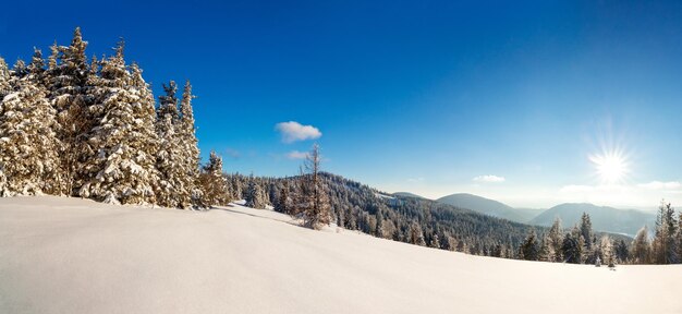 Fantastisch winterlandschap Blauwe lucht Karpaten Oekraïne Europa Schoonheidswereld