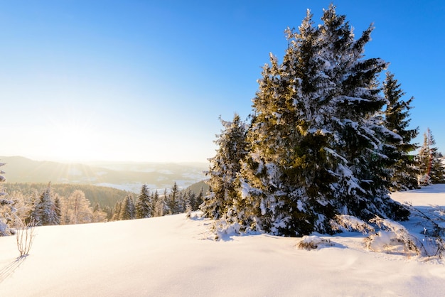 Fantastisch winterlandschap Blauwe lucht Karpaten Oekraïne Europa Schoonheidswereld