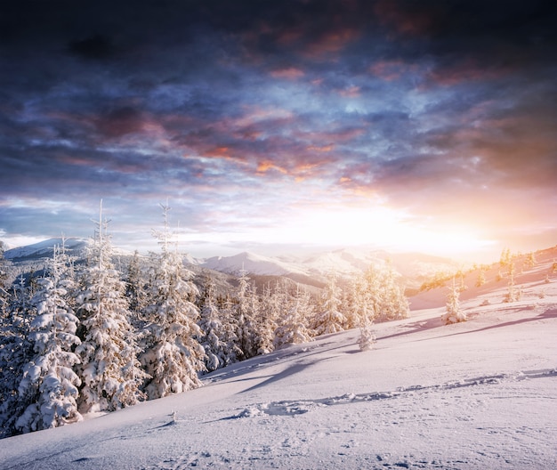 Fantastisch winterlandschap, trappen, iets dat naar de mo leidt