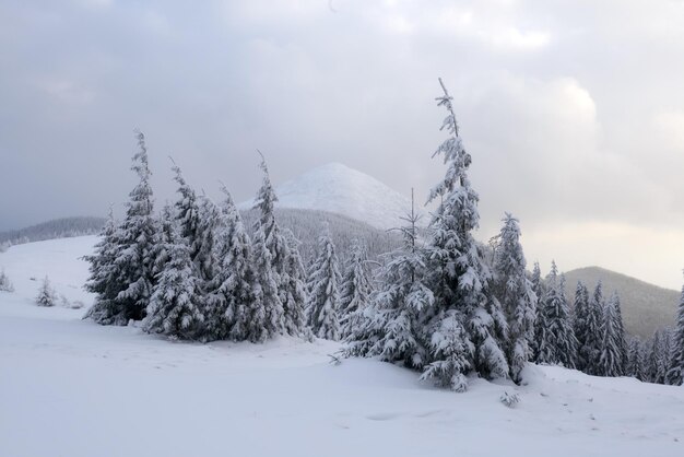 Fantastisch winterlandschap.