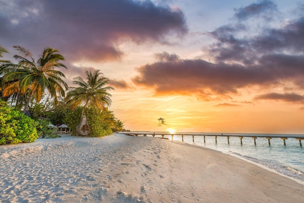 Fantastische close-upmening van zonsondergangstrand. Tropisch eiland strand landschap exotische palmbomen kust