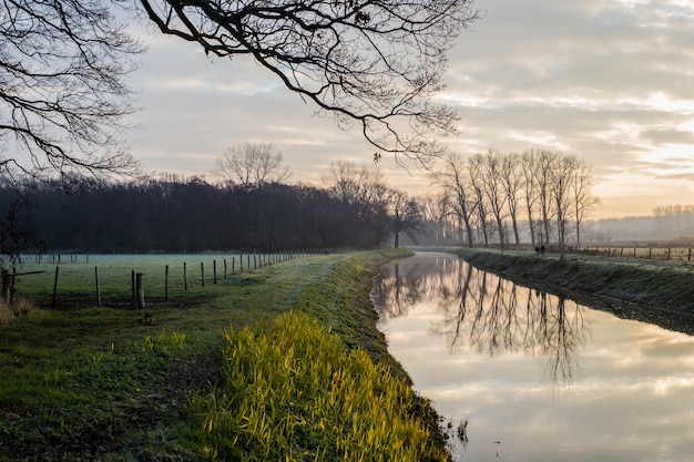 Fantastische kalme rivier met vers gras in de zonsondergang. mooi groen de winterlandschap op een koude dag