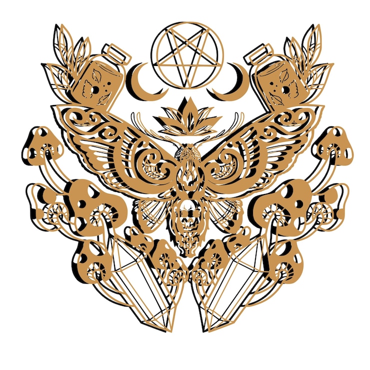 फोटो fantasy butterfly