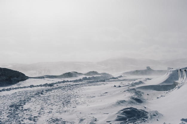 はるかに寒い北では、すべてが白い雪と霜で覆われています