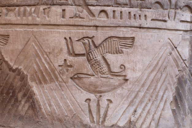 faraonische muurgravures bij oude Egyptische tempel van Kom Ombo