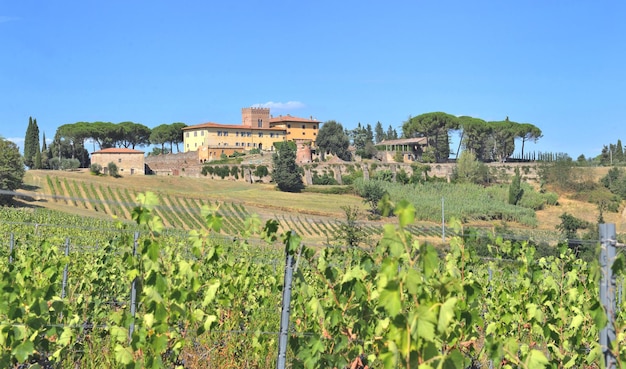 Farm building on a hill in tuscany vineyard