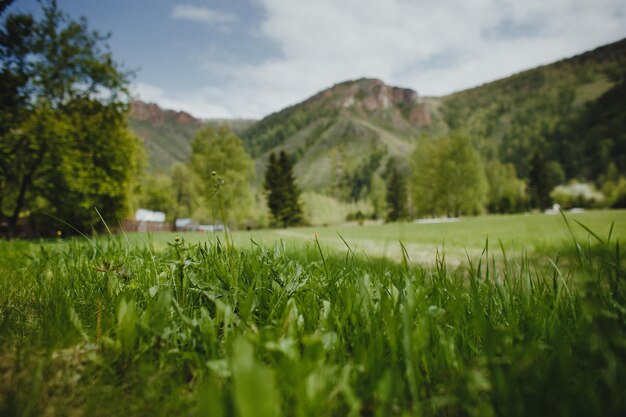 Farm buildings in green hills with tilt-shift effect