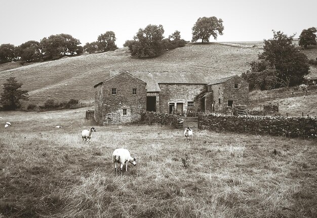 Foto edifici agricoli