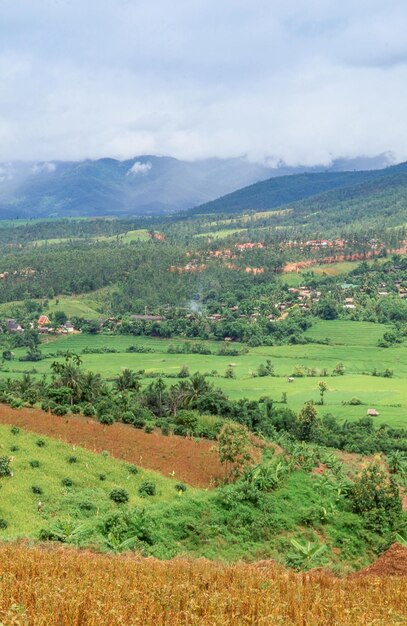 Farm in Chiang Mai Province