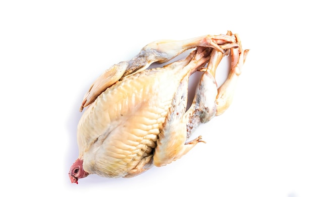 Farm eco friendly raw quails ready for cooking Isolated on white background