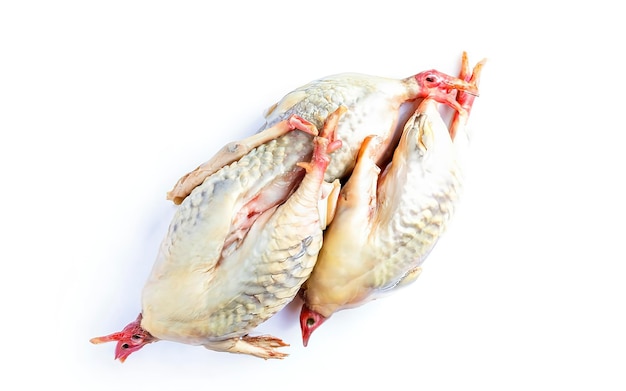 Farm eco friendly raw quails ready for cooking Isolated on white background