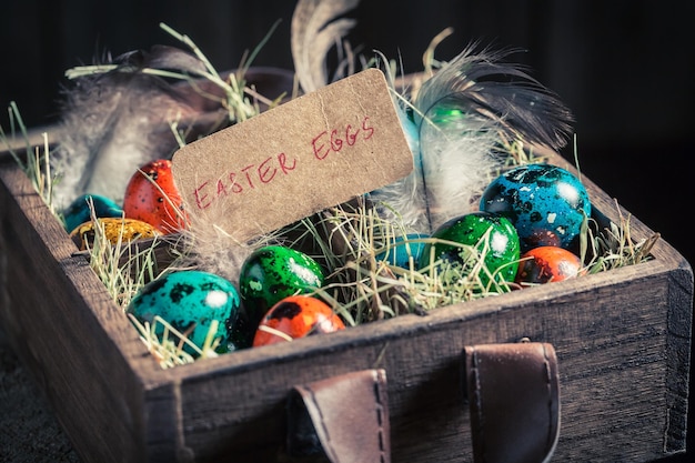 Farm eggs for Easter with hay and feathers