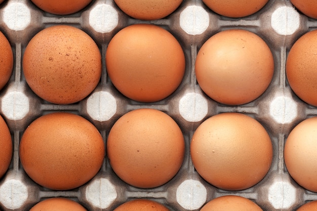 Farm eggs in paper container