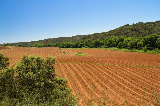 Farm empty field in spring