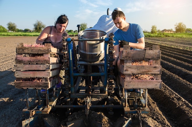 The farm family grows potatoes in the field vegetable planter\
machine high efficiency and speed agroindustry and agribusiness\
subsidies and simplified loans for purchase of agricultural\
equipment