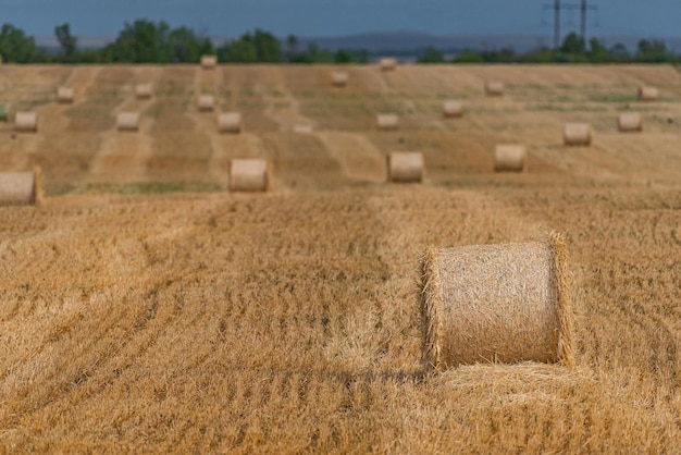 Farm field haystack agriculture landscape Haystack harvest landscape