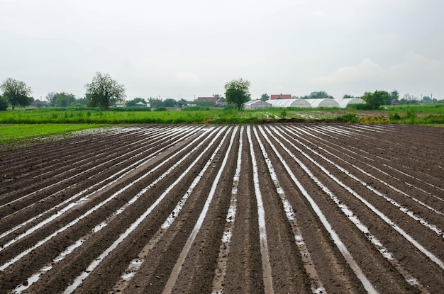 Farm field is flooded with heavy torrential rains Destruction of crops and damage to agriculture Unstable weather strong showers and storms Damage to farms and the agroindustry Farming landscape