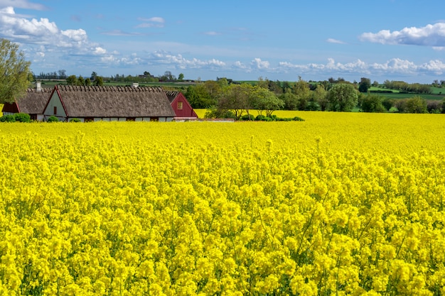 Farm house in the middle of fields, selective focus