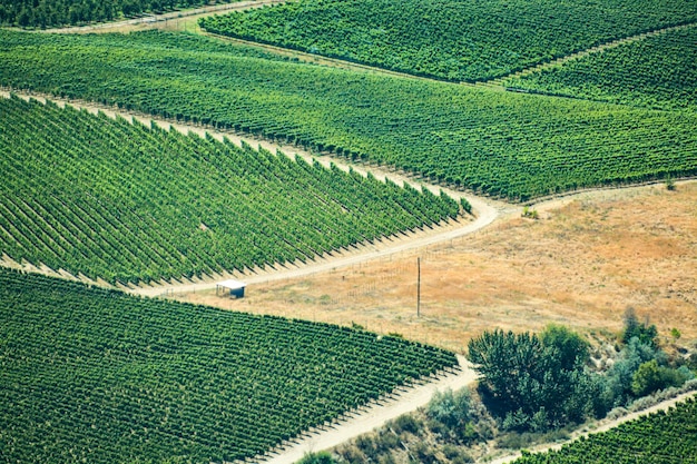 Farm lands landscape in okanagan valley on summer day