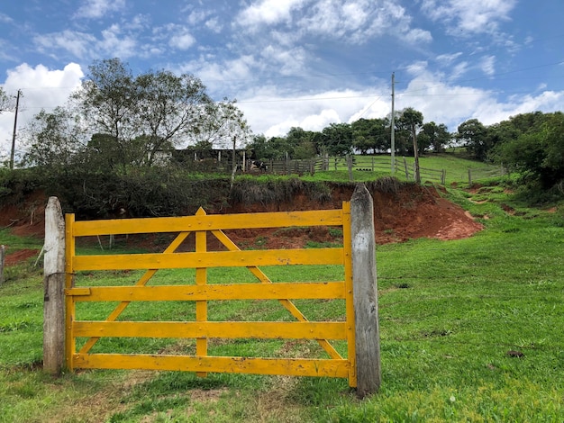 Foto paesaggio agricolo con cancello giallo