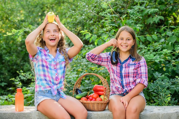 Farm market Summer harvest concept Natural harvest Happy sisters garden Selling homegrown food concept Girls cute children farming Organic harvest Kids gathering vegetables nature background