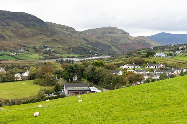 A farm in the mountains with a sheep in the foreground