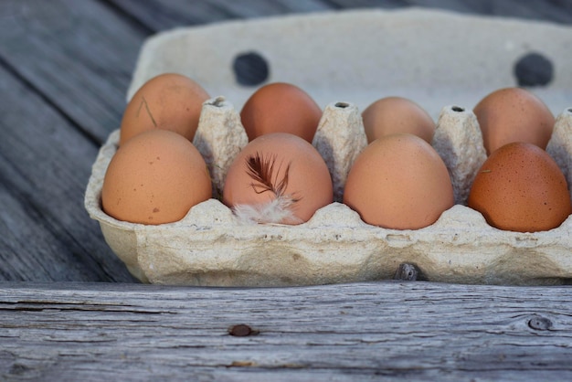 farm organic brown eggs in a carton box eco packaging