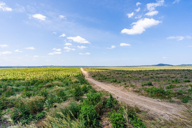 Farm Road