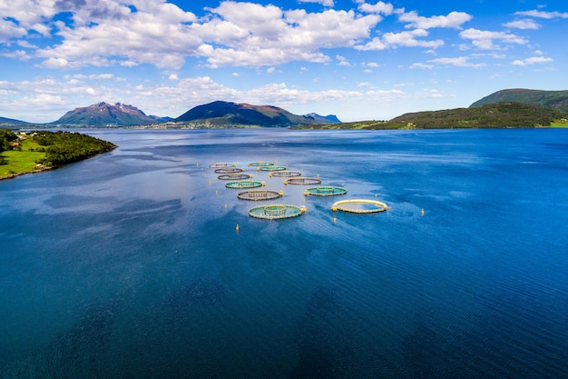 ノルウェーでのファームサーモンフィッシング空中FPVドローン写真。