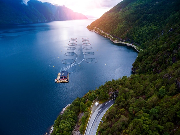 Farm salmon fishing in Norway aerial photography.