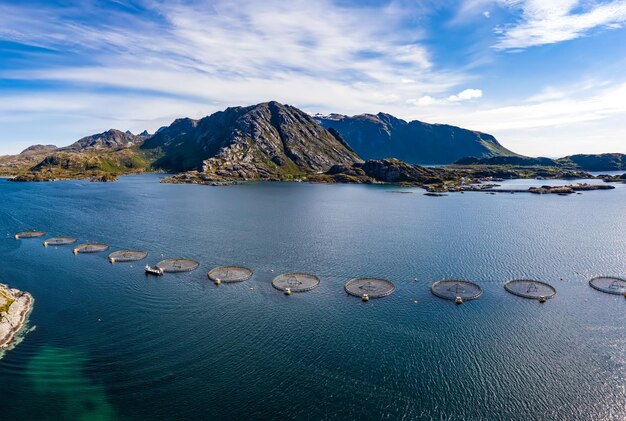 ノルウェーの養殖鮭釣り。ノルウェーは世界最大の養殖サーモンの生産国であり、毎年100万トン以上が生産されています。