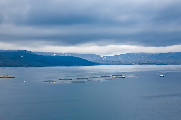 Farm salmon fishing in Norway Norway is the biggest producer of farmed salmon in the world with more than one million tonnes produced each year