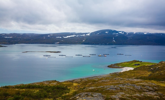 Farm salmon fishing in Norway