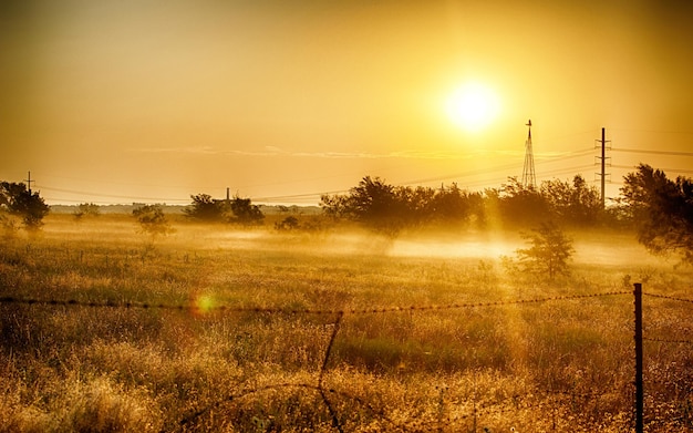 Foto sfondo dello scenario dell'alba della fattoria