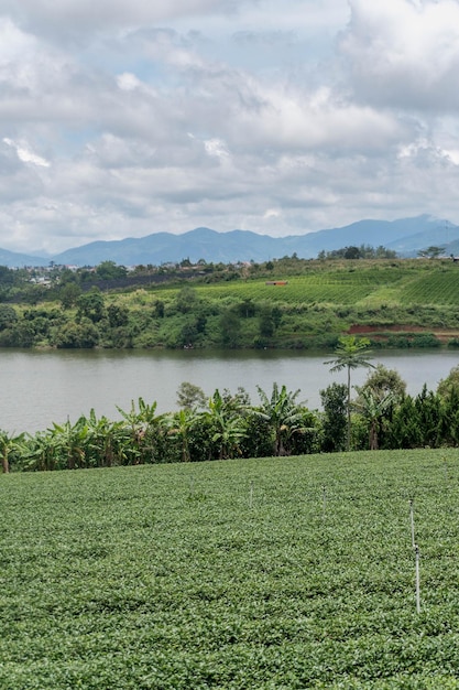 A farm with a lake and mountains in the background