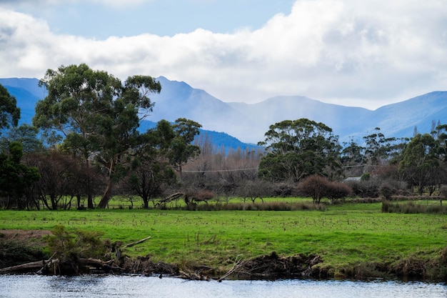 farm with mountains and river in australia in spring