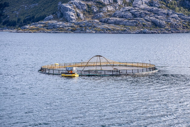 Farm zalm vissen in Noorwegen. Noorwegen is de grootste producent van gekweekte zalm ter wereld, met een productie van meer dan een miljoen ton per jaar.